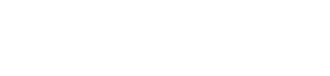 Logo mastersolution SHOW